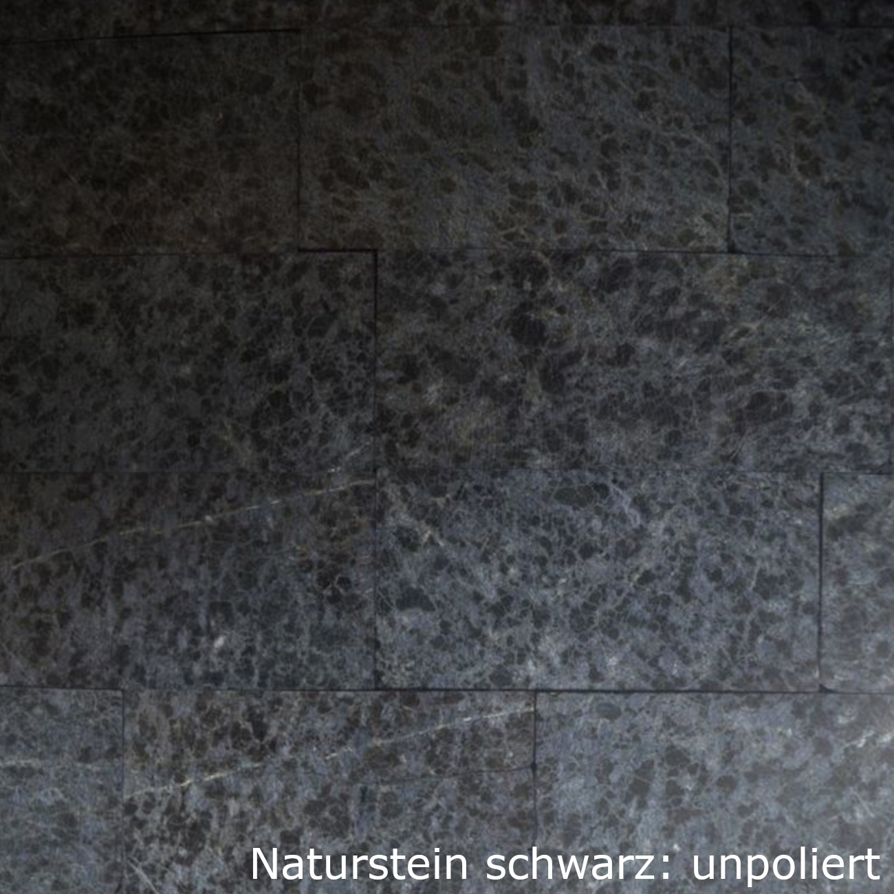 naturstein-schwarz-f03-unpoliert