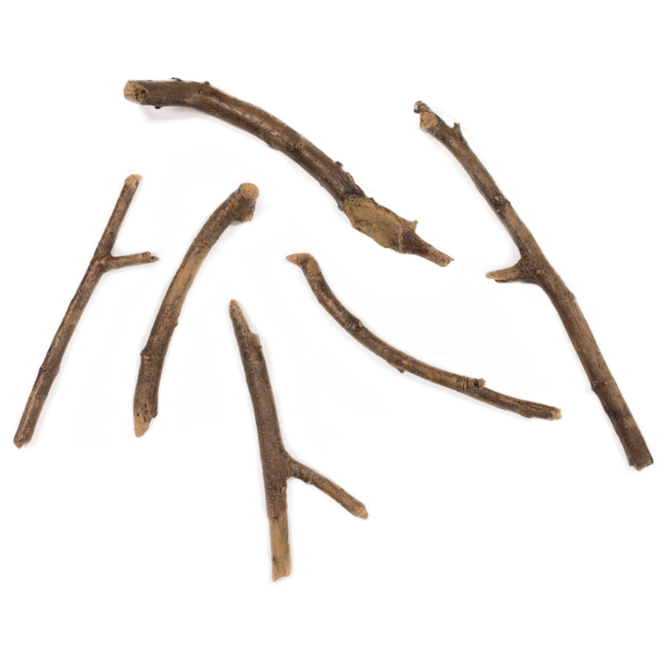 xaralyn_harz_holzstuecke_elektrokamin_holz_tit Harz Holzstücke 6 Stück für Elektro Kamine