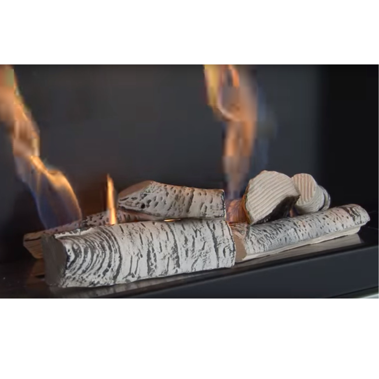 deco-birke-holz-titel4