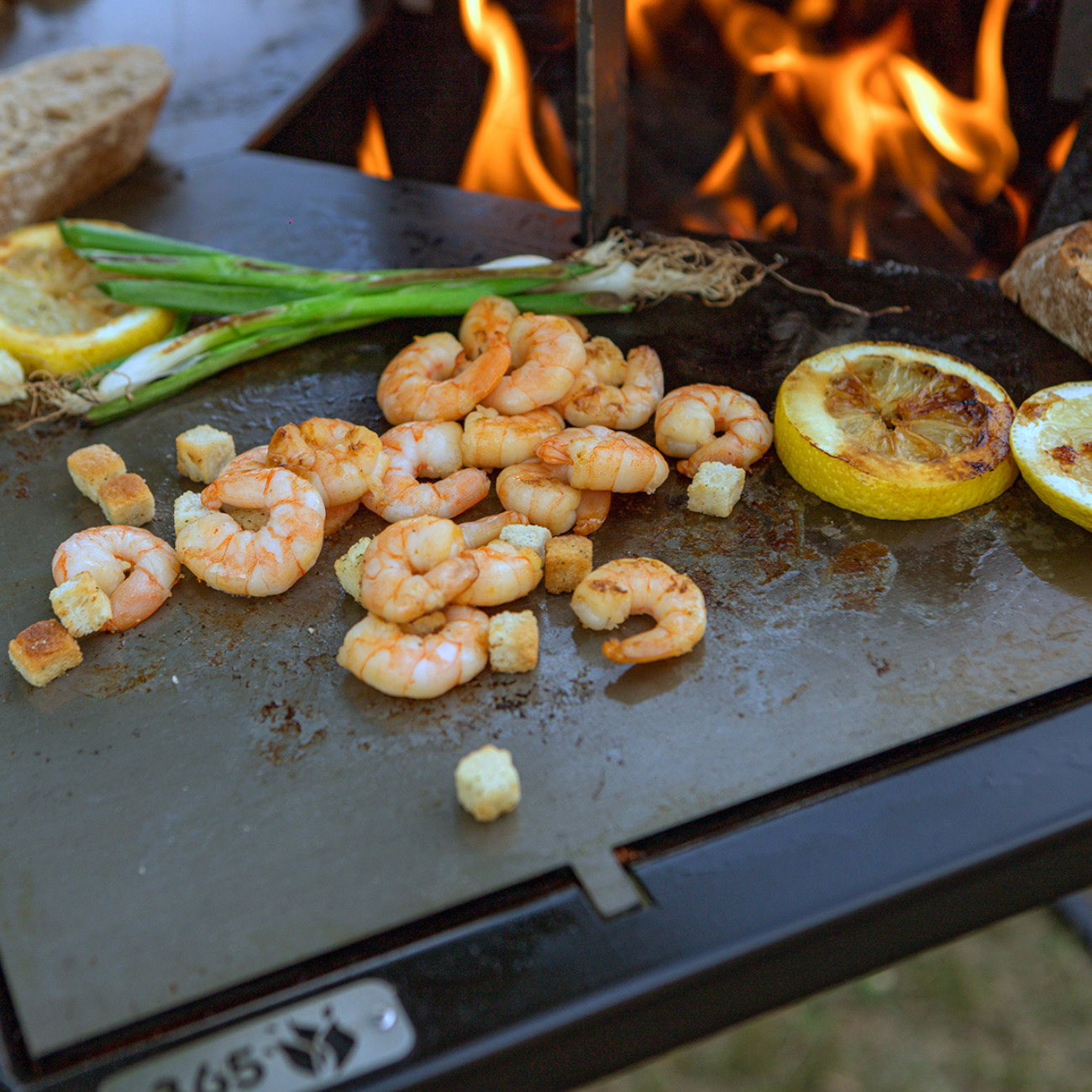 plancha-grill-feuercampus365-meroe-web1