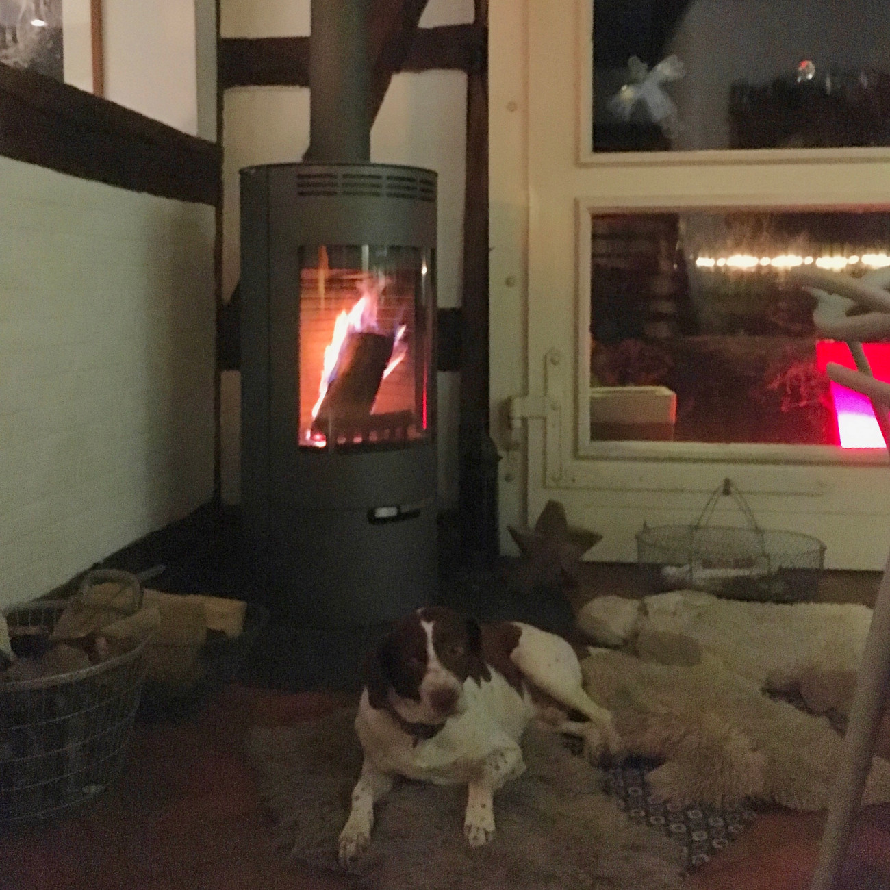 thorma_andorra_grau_kaminofen_kundebild4