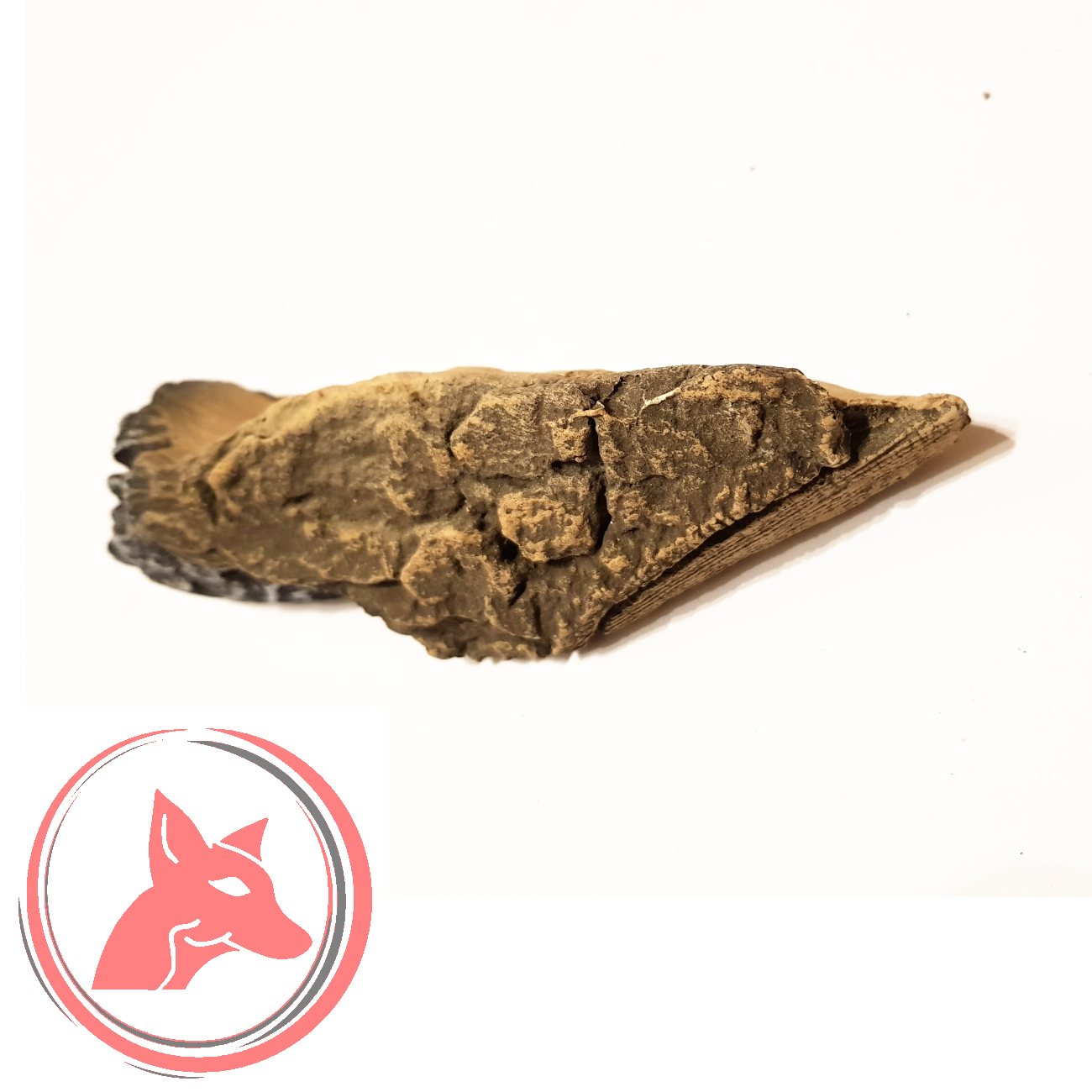 keramik_gaskamin_holstuecke_8