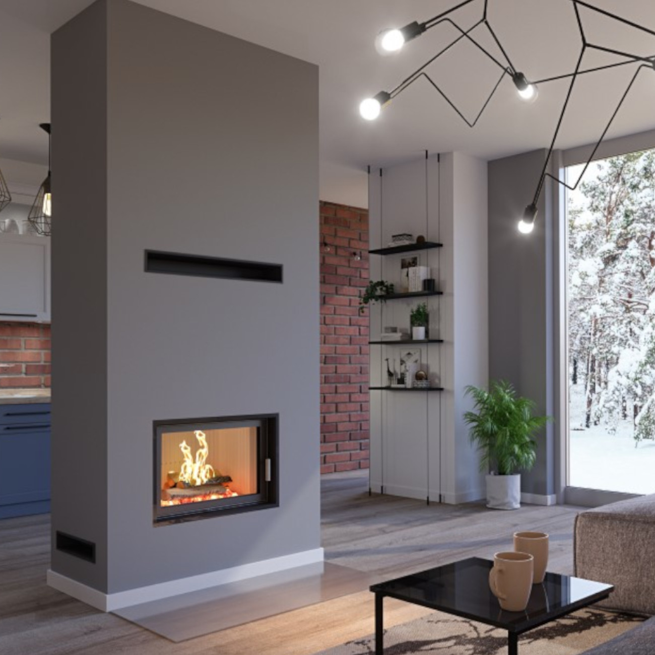 Kamineinsatz_Hajduk_Heatro_69H_int2